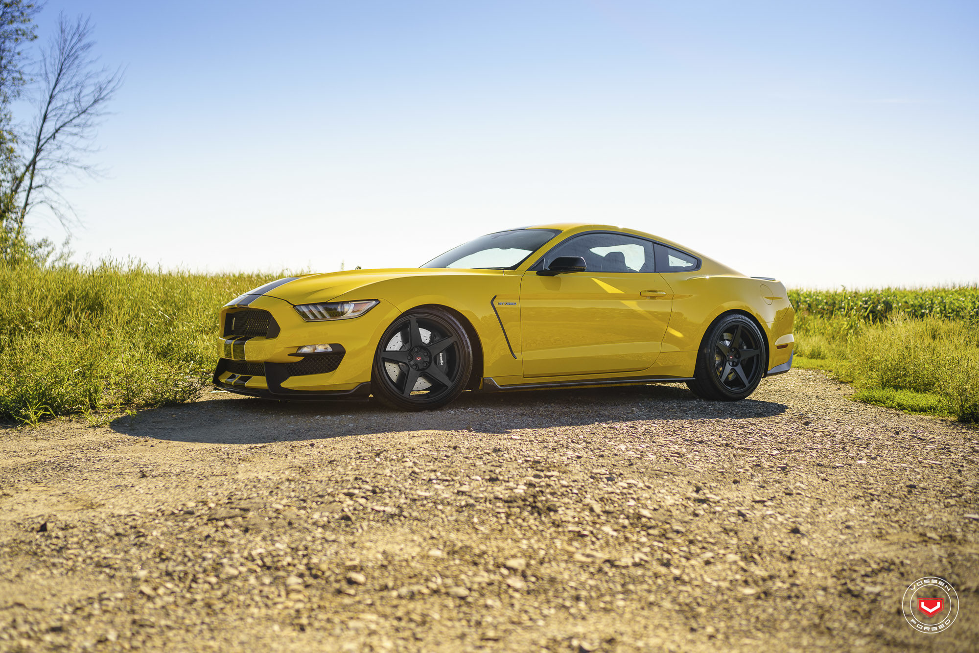 Shelby Gt Gns Series Gns Vossen Wheels